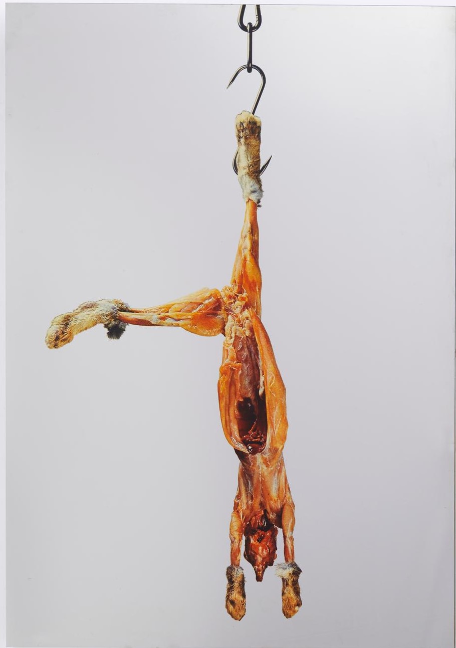 Pistoletto_coniglio_art