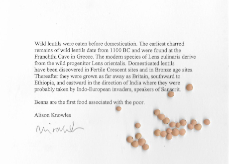 alison-knowles-wild-lentils-envelope-numbered-signed-cultclub-edition