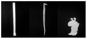 cosima-von-bonin-multiple-dirks-mates